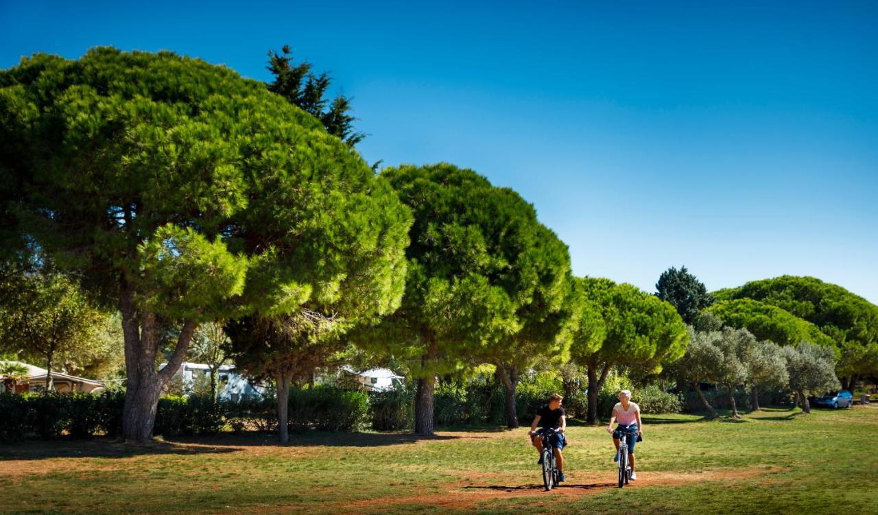 Maistra Amarin Glamping 4* Rovinj